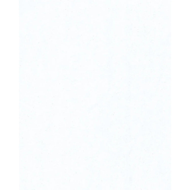 White Sparkle Gift Tissue