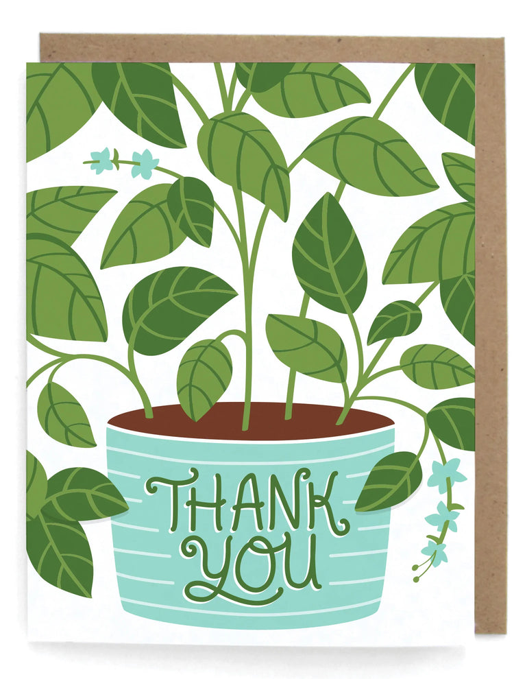 Thank You Basil Card - Boxed Set