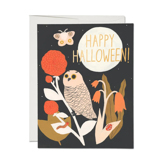 Spooky Night Halloween Greeting Card